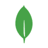 MongoDB